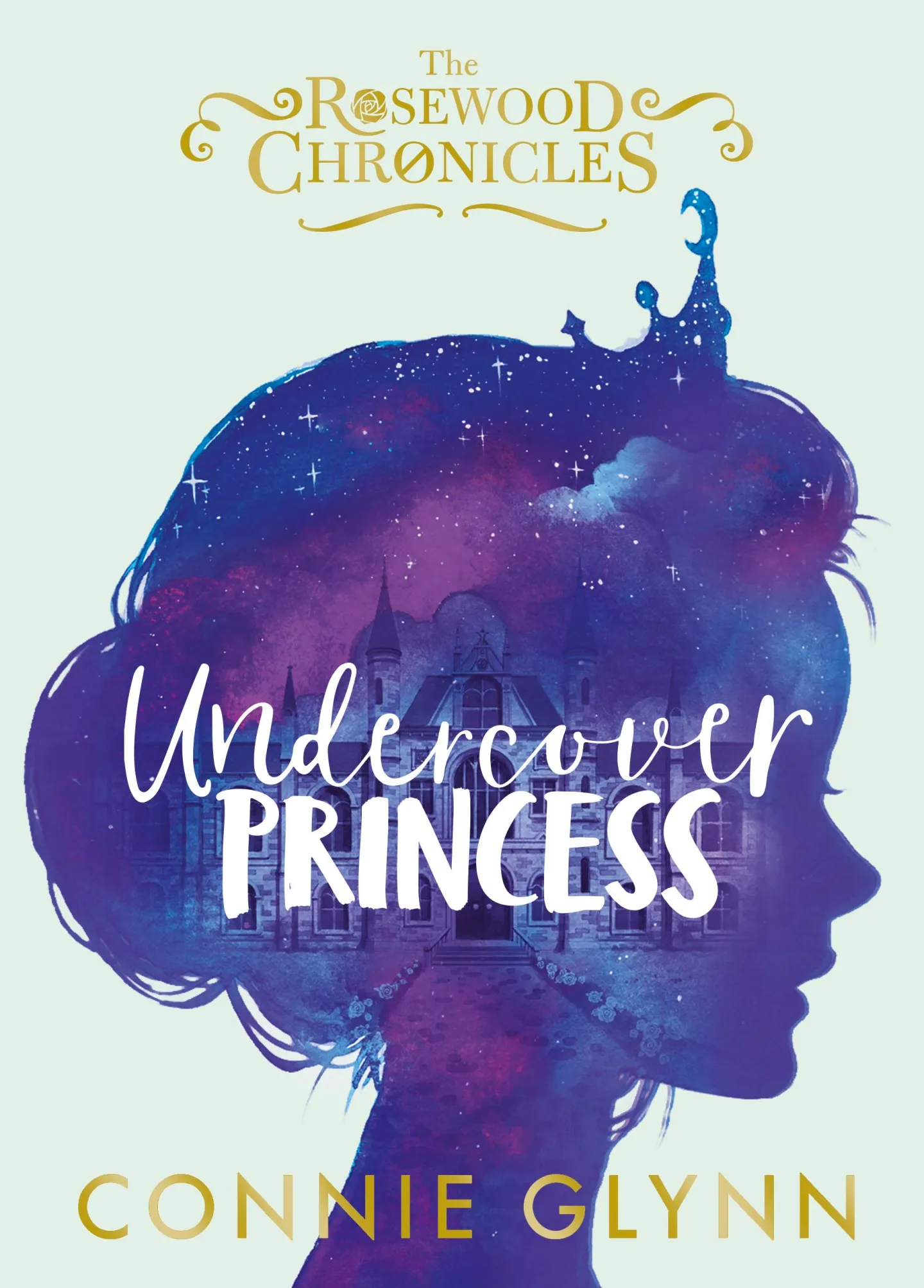 Undercover Princess cover